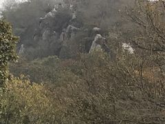 -紫金山山顶公园