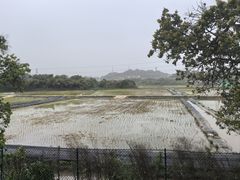 -长洲岛都市农业公园