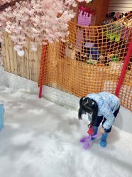-Mr·Kuma酷么先生雪之乐园