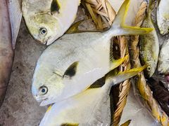 -板桥海鲜广场(文明东店)