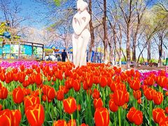 -石家庄市植物园