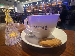 -bluefrog蓝蛙(新三里屯太古里店)