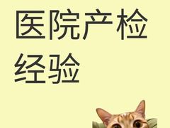 -首都医科大学附属北京天坛医院
