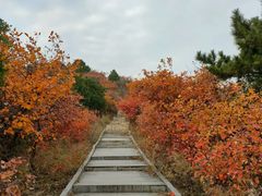 -北京西山国家森林公园