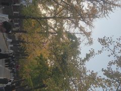 -青岛海滨风景区