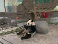 -宁波野生动物园