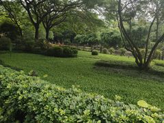 -晓港公园