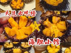 -海胆小馆(东北水饺·春柳店)