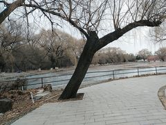 -北陵公园