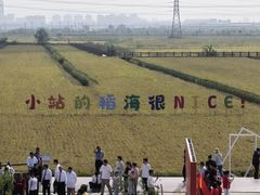 -立起饭庄(石化路店)