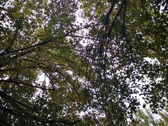 -旺仔家常菜生煎包(马端街店)