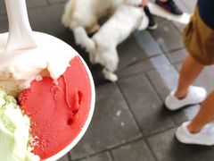 -Dip in Gelato(富民路店)