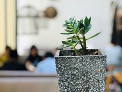 -几荷·恰似故人来(秀水广场店)