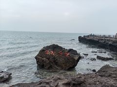 -涠洲岛火山国家地质公园