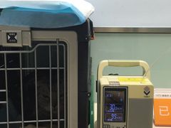 -纳吉亚猫专科动物医院博雅分院