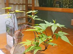 -十二舍·湯物素煮(江泰潤政店)