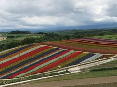 -富田农场