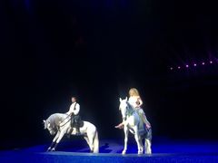 -珠海横琴长隆《卡卡虎奇遇记》