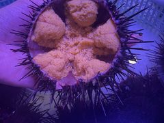 -桃源市场(解放路店)