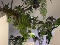 -有位虾匠·香辣蟹·小龙虾(李村店)