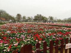 -盈香心动乐园