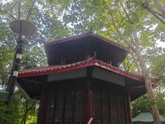 -绵阳人民公园(涪城区)