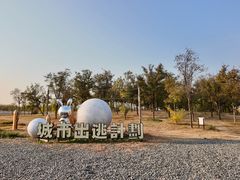 -天津东丽湖风景区