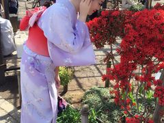 -东京浅草和服体验江户和装工房雅(浅草本店)