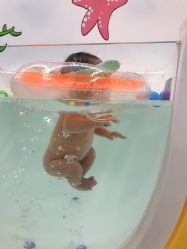 -月满阁月子中心(莲湖区店)