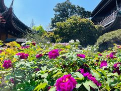 -龙华寺