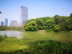 -艾溪湖湿地公园