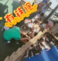 -萌宠亲子动物乐园(槐房万达店)