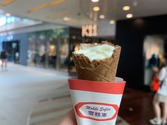 -富豪雪糕车流动点(尖沙咀店)