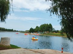 -羊亭河湿地公园