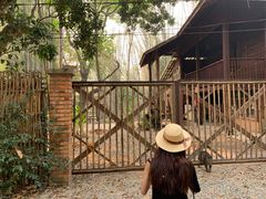-Bamboo Saturday Market(Nana Jungle)