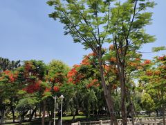 -集美鳌园景区