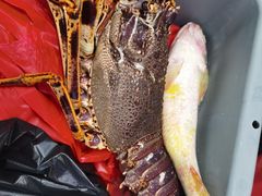 -江杨农产品批发市场