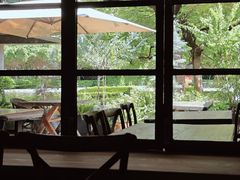 -缘生态云南菜·野生菌庭院餐厅(华侨城店)