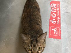 -王浩儿纪六孃甜皮鸭(乐山总店)