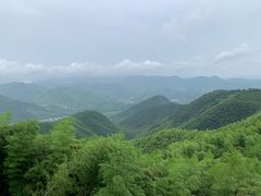 -莫干山风景区