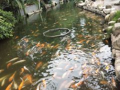 -厦门日月谷温泉渡假村