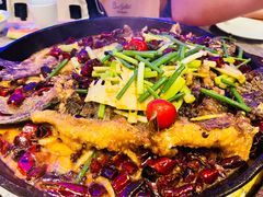 老板恋上鱼-老板恋上鱼(恒隆广场店)