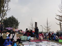 -两河城市森林公园