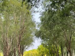 -东郊湿地公园
