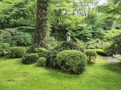 -三千院