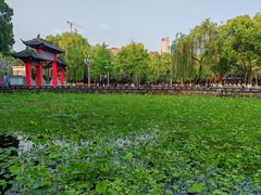 -四川大学(望江校区)