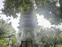 -正阳书局(西四南大街店)
