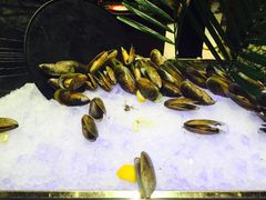 -天宇菲尔德·花园西餐厅·海鲜自助餐