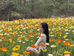 -名花谷生态庄园