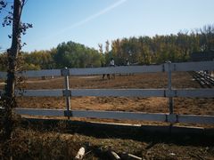 -月河湾马术俱乐部(朝阳店)